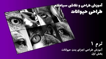 ترم 01 آموزش اجزای بدن حیوانات