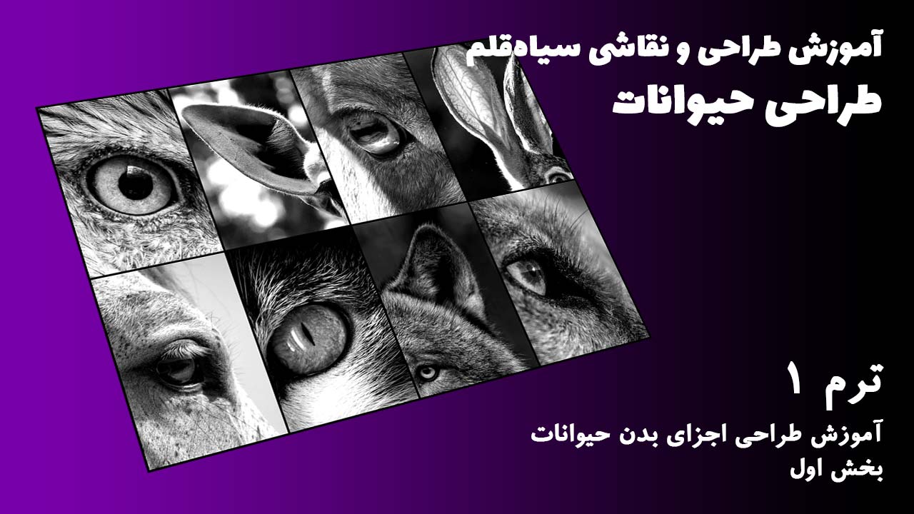 ترم 01 آموزش اجزای بدن حیوانات
