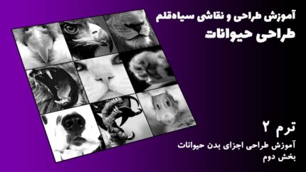 ترم 02 آموزش اجزای بدن حیوانات