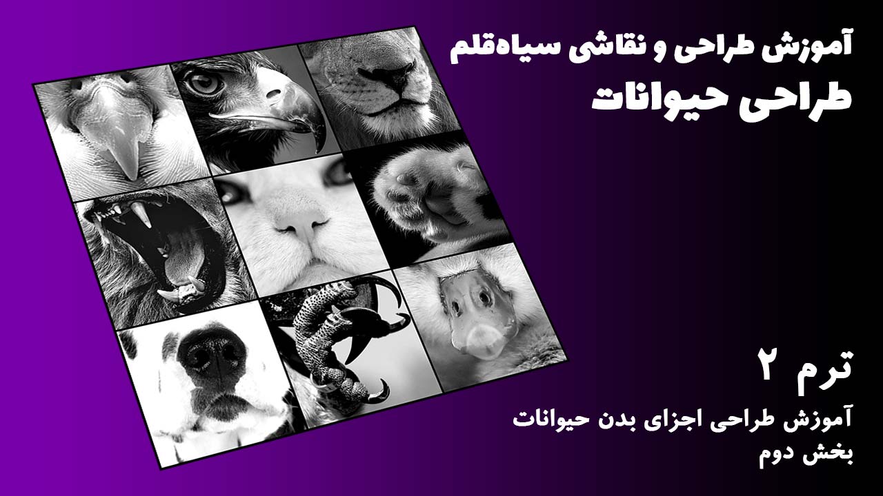 ترم 02 آموزش اجزای بدن حیوانات